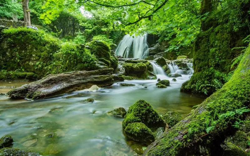 高效创意独特